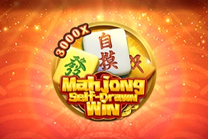 Mahjong Self Drawn Win